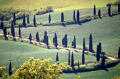 Guida Turistica Siena