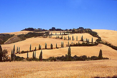 Toscana